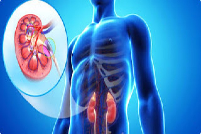 HEALTHY KIDNEYS HEALTHY KIDNEYS