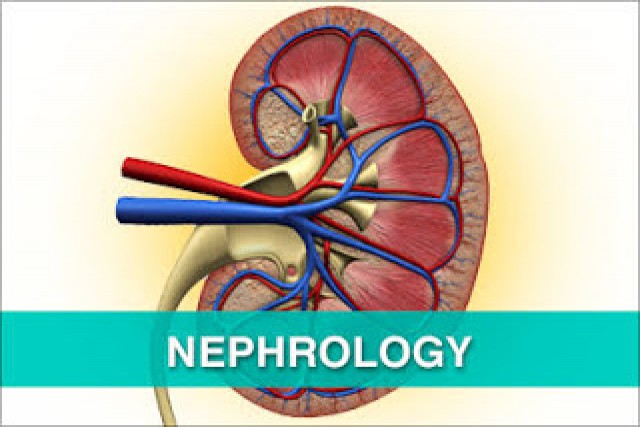 NEPHROLOGY NEPHROLOGY