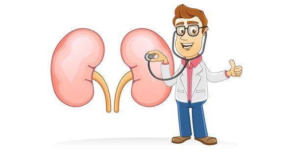 3 Tips for Choosing One of the Best Nephrologists Near You 3 Tips for Choosing One of the Best Nephrologists Near You
