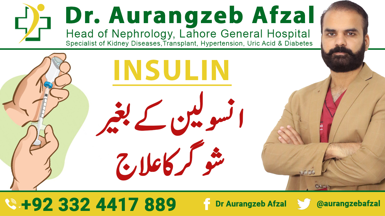 Insulin | Treatment of Diabetes without Insulin | Treatment of Sugar without Insulin [Urdu/Hindi]