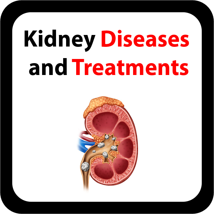 Kidney Diseases and Treatments