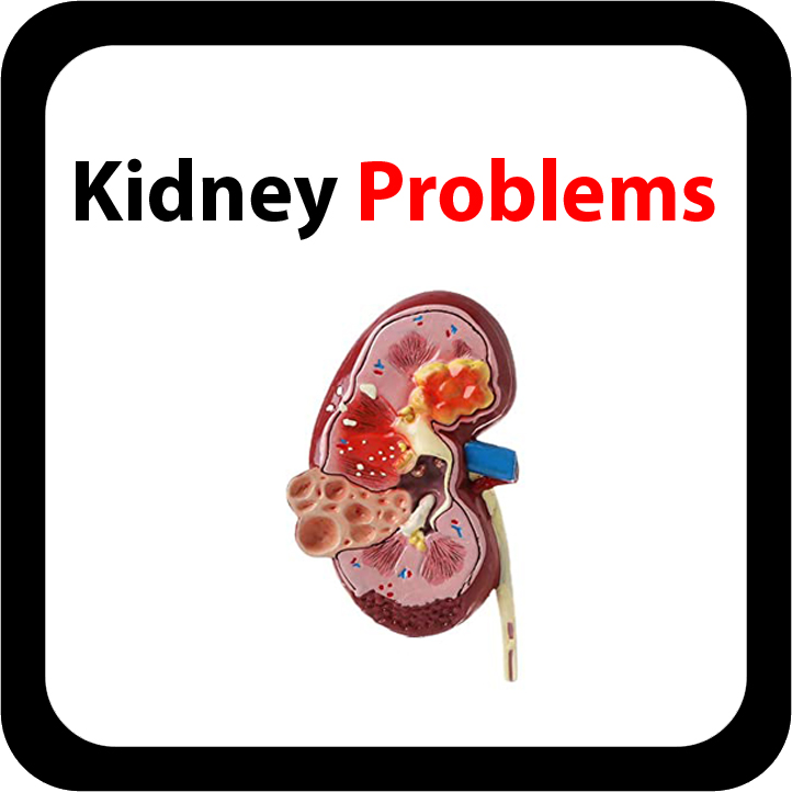 Kidney Problems