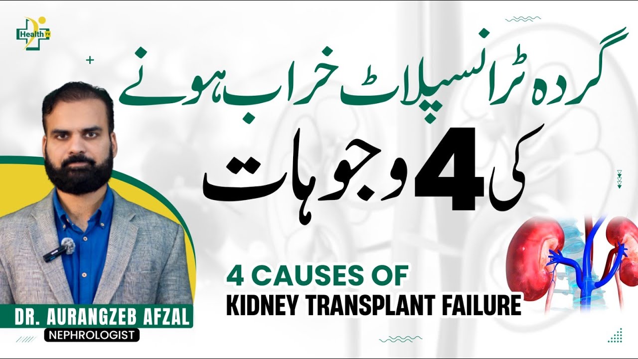 Kidney Transplant Kharab Hone Ki Wajohat | 4 Causes of Kidney Transplant Failure In Urdu/Hindi