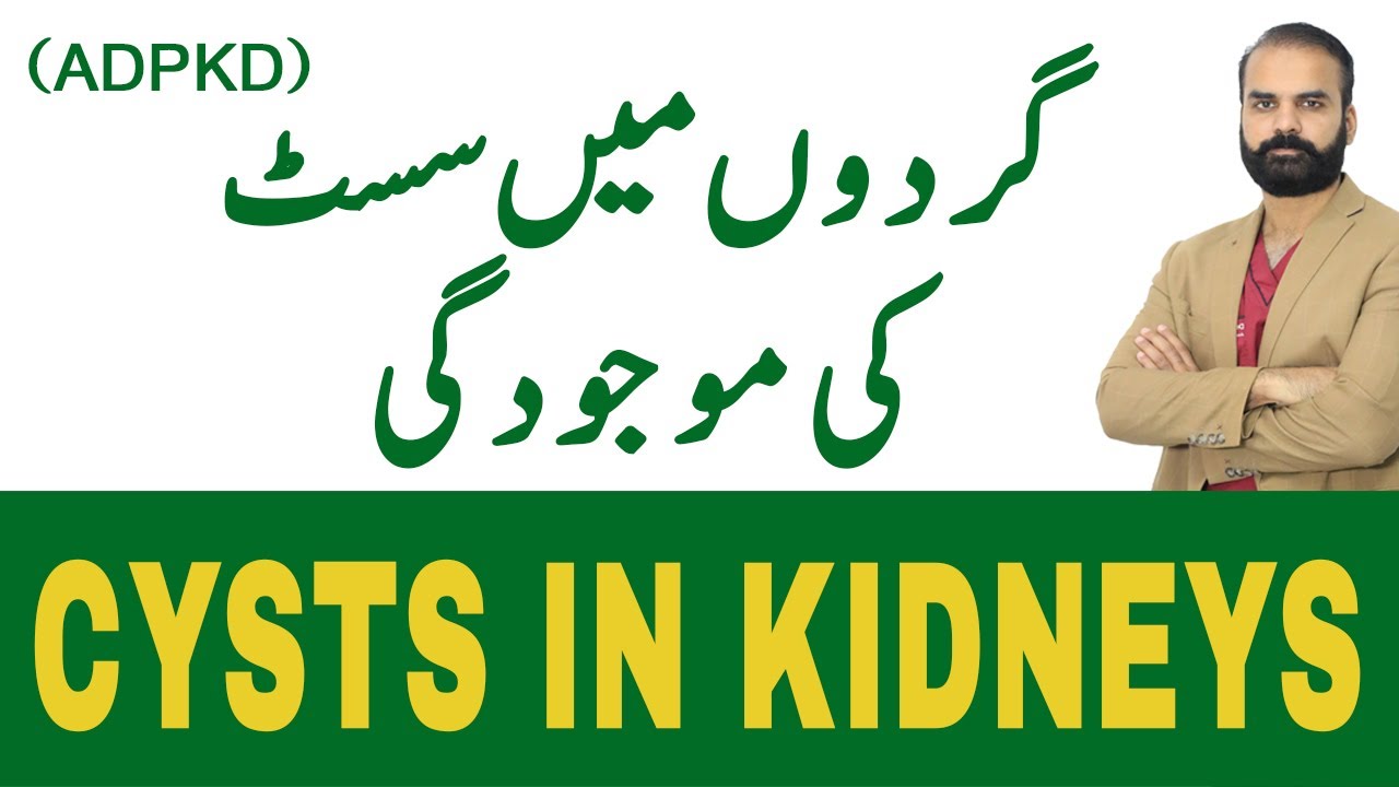Polycystic Kidneys | ADPKD | cysts in Kidneys full in Urdu/Hindi