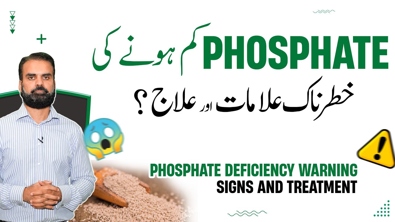 Low Phosphate Causes & Treatment | Phosphate Ke Kam Hone Ki Alamat Aur Ilaj | Low Phosphate Symptoms