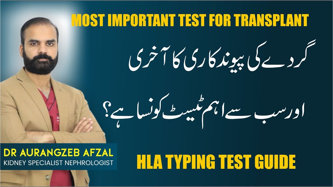 Last Test For Kidney Transplant | HLA Typing In Urdu | Gurdey Ke Pewandkari | Kidney Guide