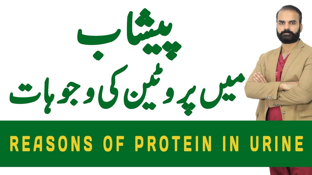 Reasons of protein in urine in Urdu/Hindi
