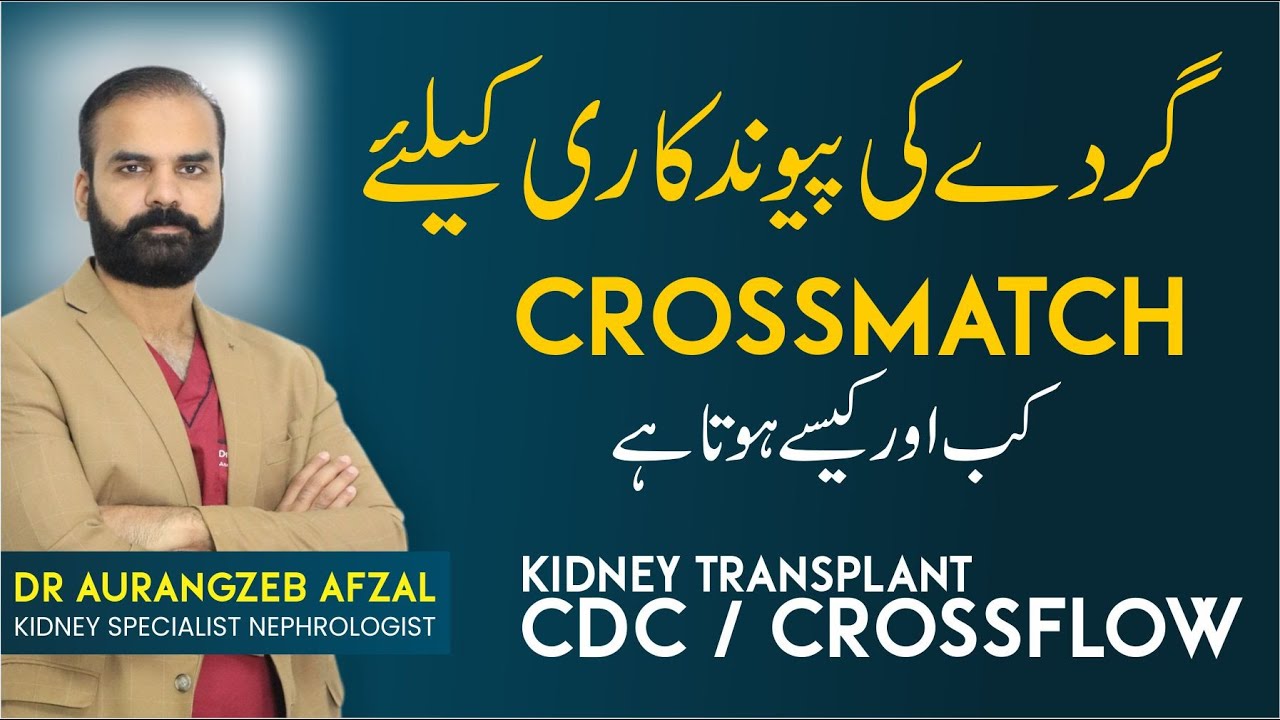 Kidney Transplant & Cross Match Test | Gurdey Ke Pewandkari | Kidney Transplant Guide in Urdu
