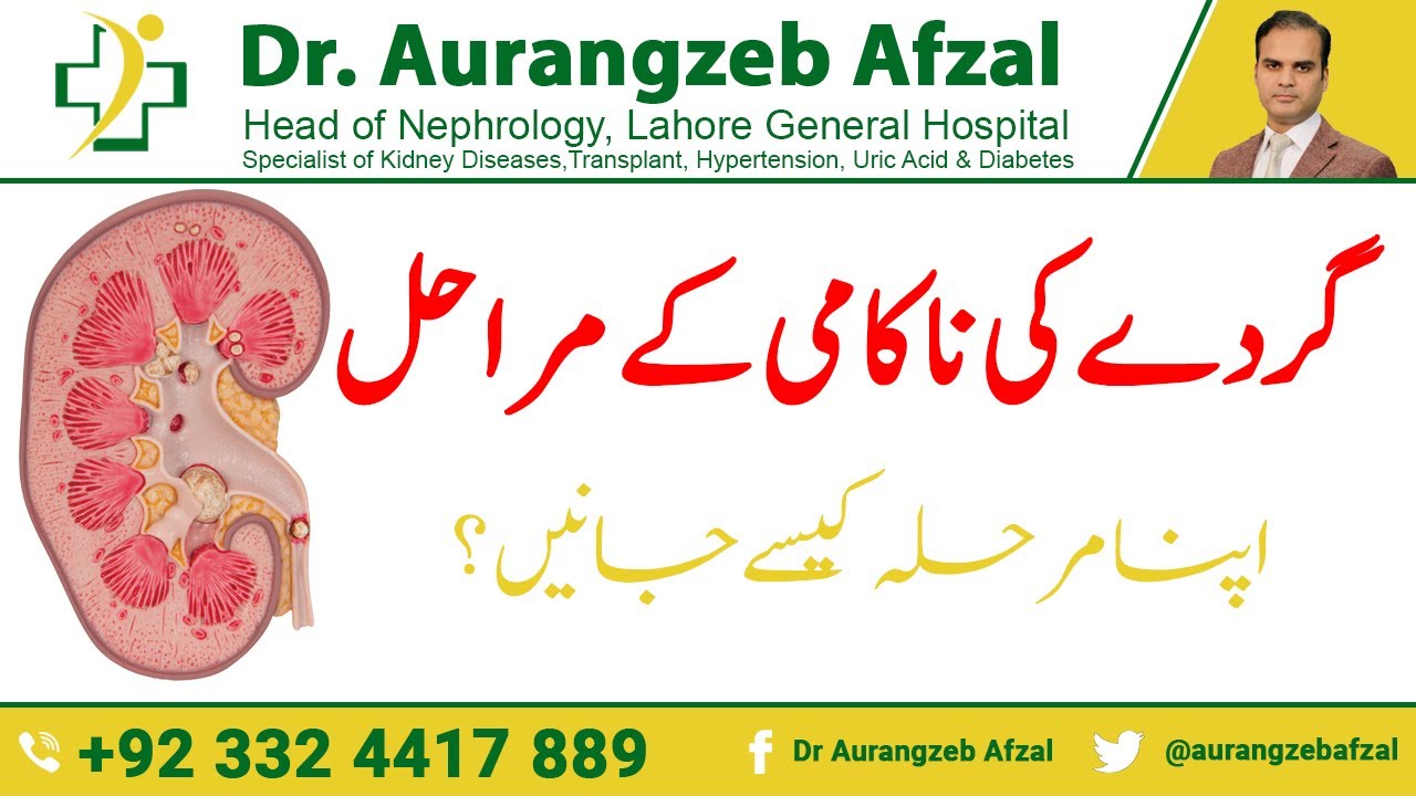 Kidney Failure stages - How to know your own stage in Urdu/Hindi