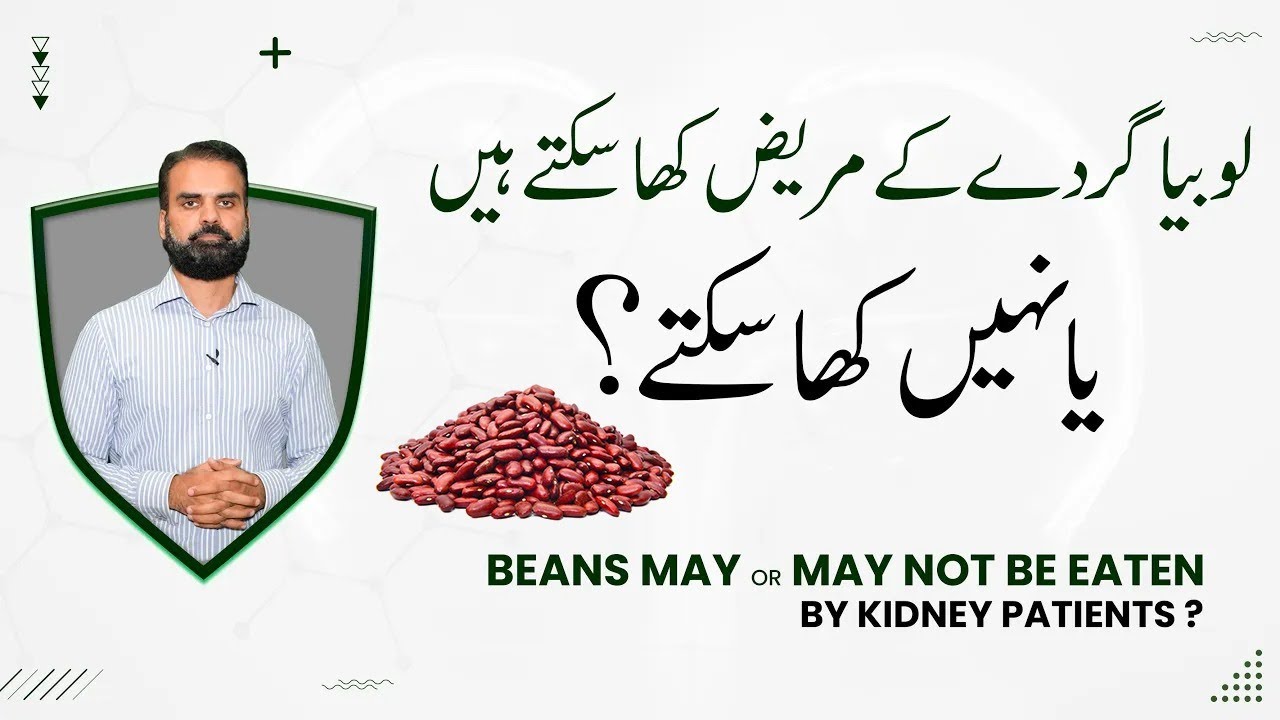 Red Lobia For Kidney Patient: Benefits & Risks in Urdu Hindi