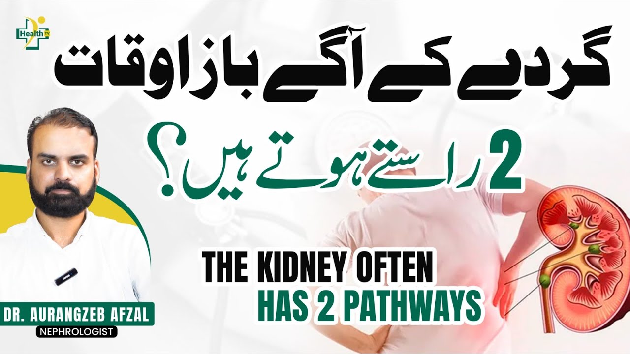 Double Pelvic Kidney Reasons & Treatment | What Is a Duplex Kidney? | Kidney Related Problems