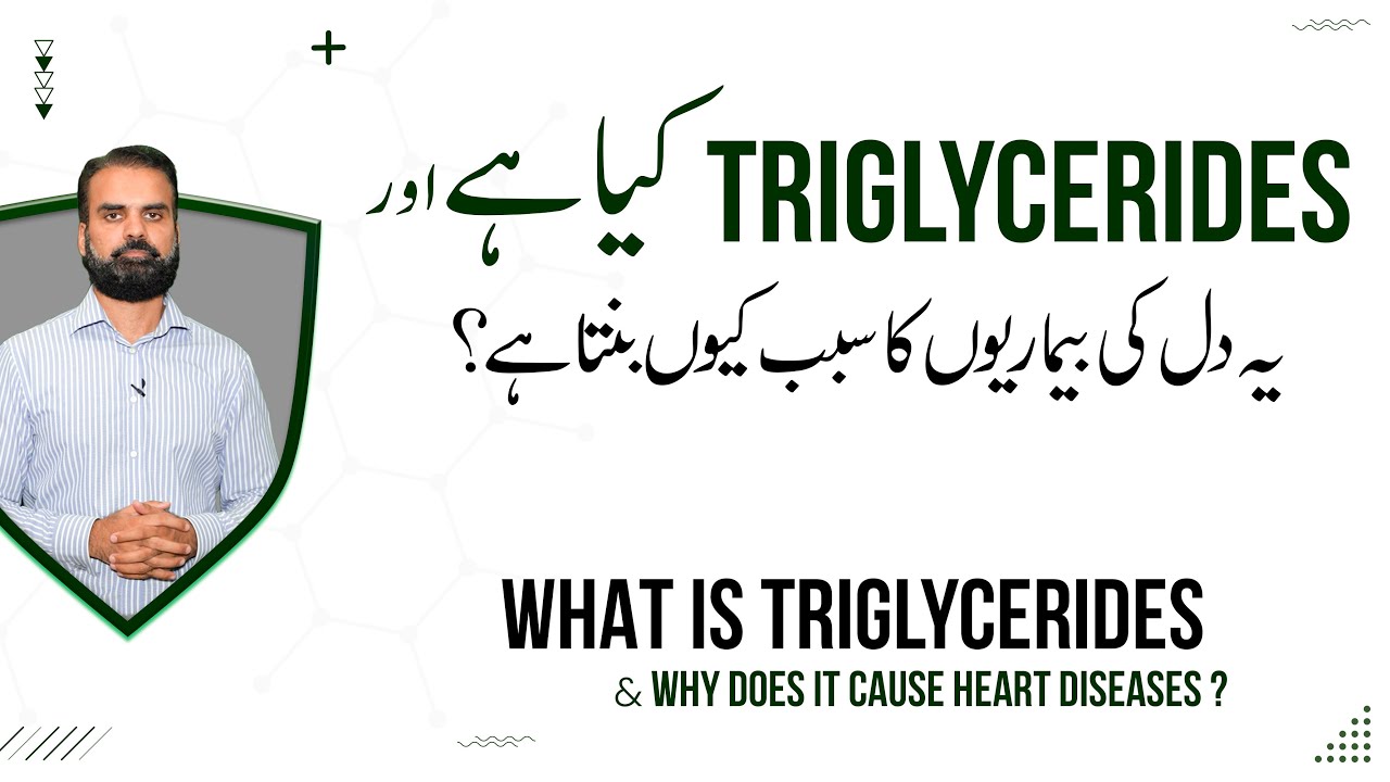 Why Triglycerides Causes of Heart Diseases? | Triglycerides Kaise Kam Kare in Urdu/Hindi