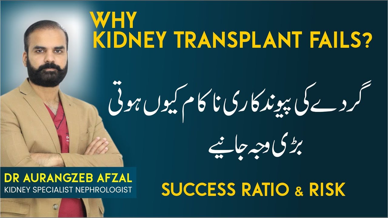 Kidney Transplant Recovery Tips | Kidney Transplant Success Ratio | Transplant Kharab Kyn Hota Urdu