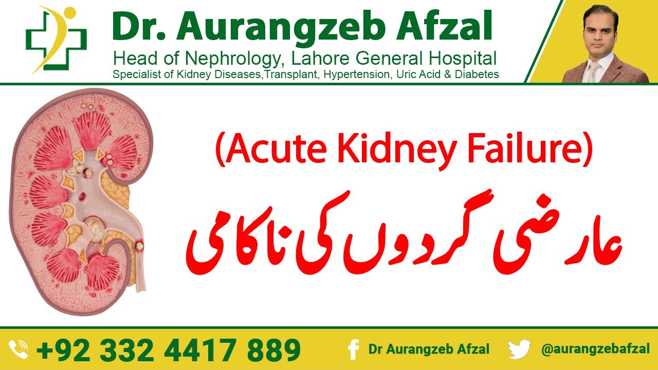 Temporary Kidney Failure - Acute Kidney Failure in Urdu/Hindi