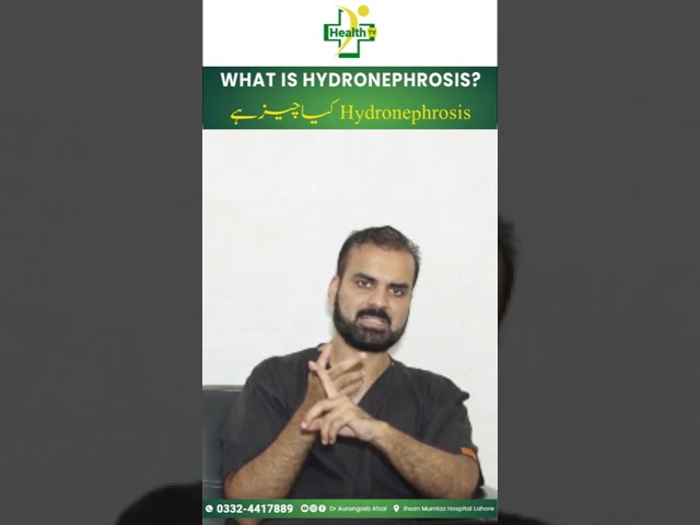 What is Hydronephrosis? - How Does Hydronephrosis Affect On the Kidney? By Dr. Aurangzeb Afzal