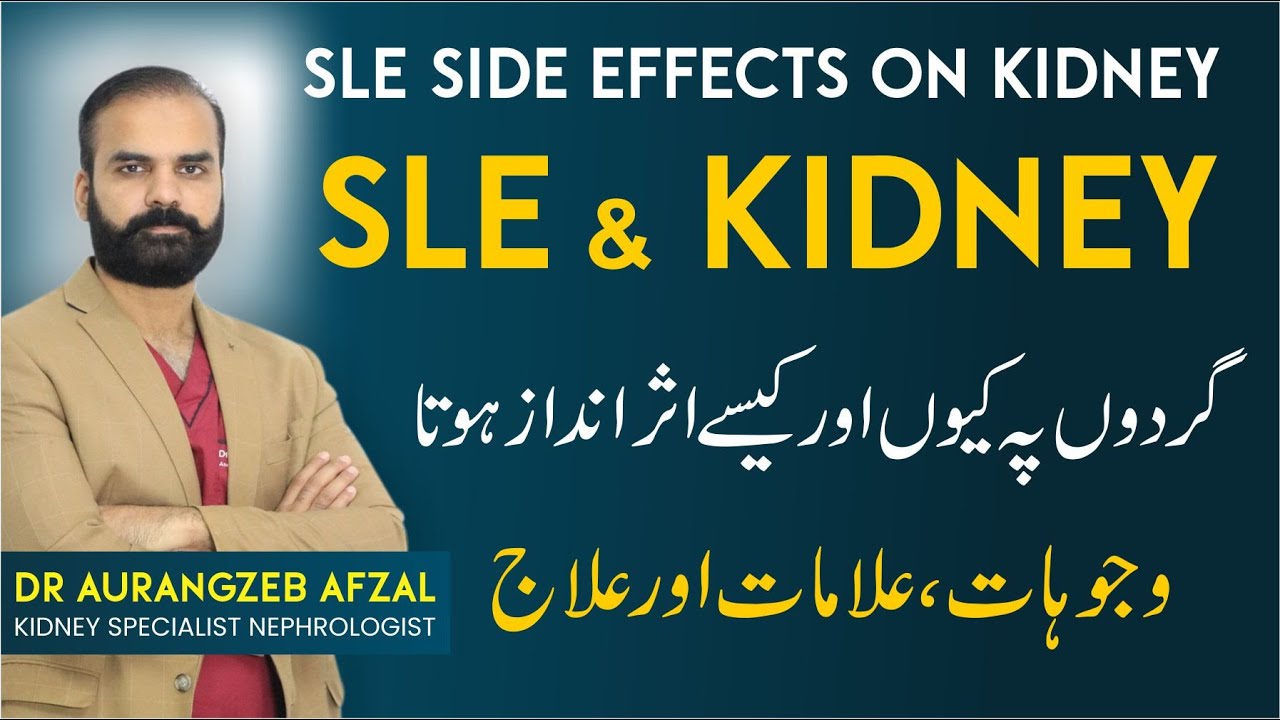 SLE Effects on Kidney | Symptoms | Treatment Guide in Urdu
