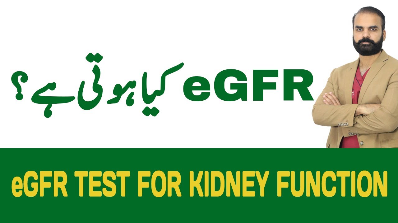 eGFR Test for Kidney Function - Kidney Function Tests