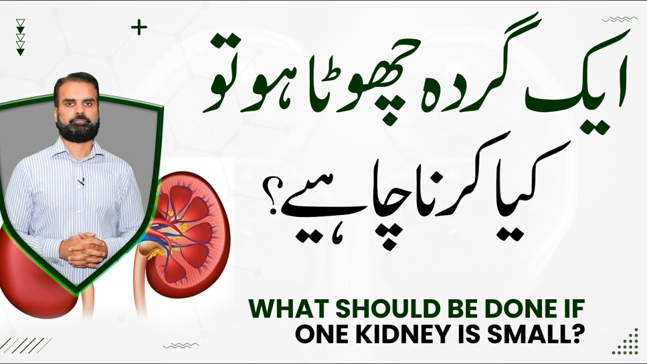 Causes of Small Kidney in Urdu | Aak Gurda Chota Ho Toh Kaya Karne Chahiye