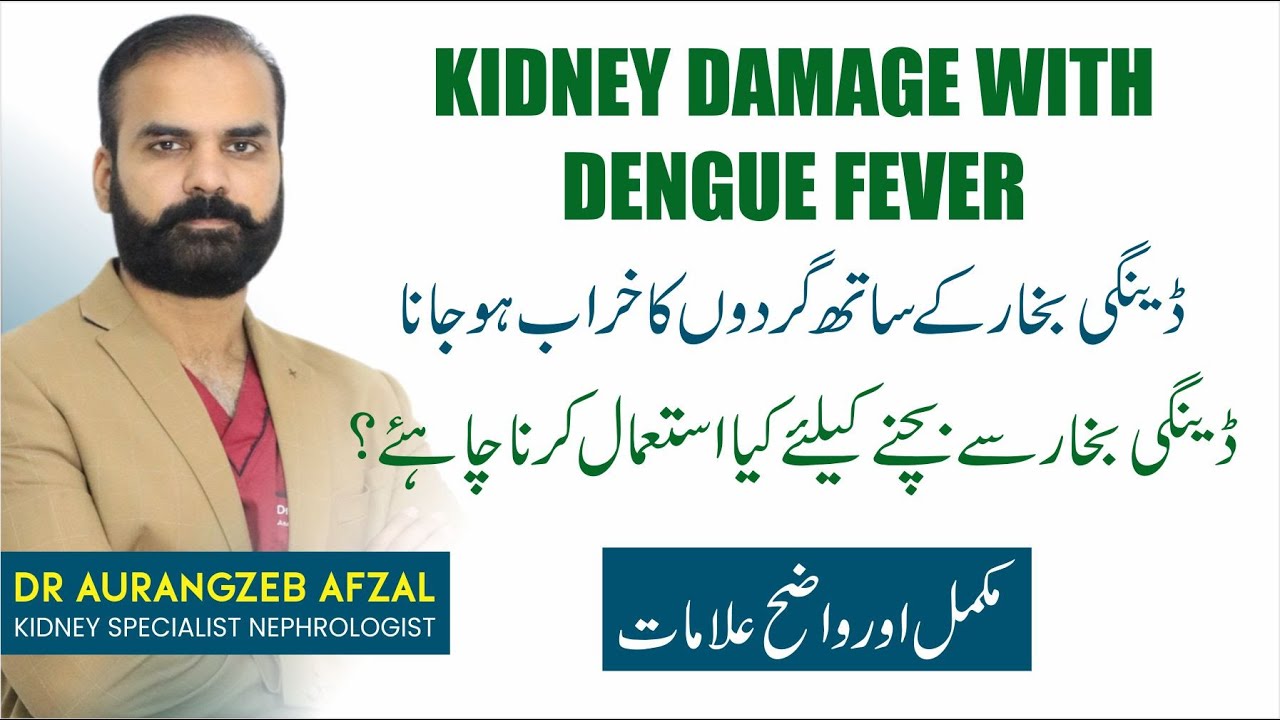Dengue Say Kidney Be Kharab Ho Sakte Hai ? Dengue Fever in Kidney Patient | Kidney Damage in Dengue