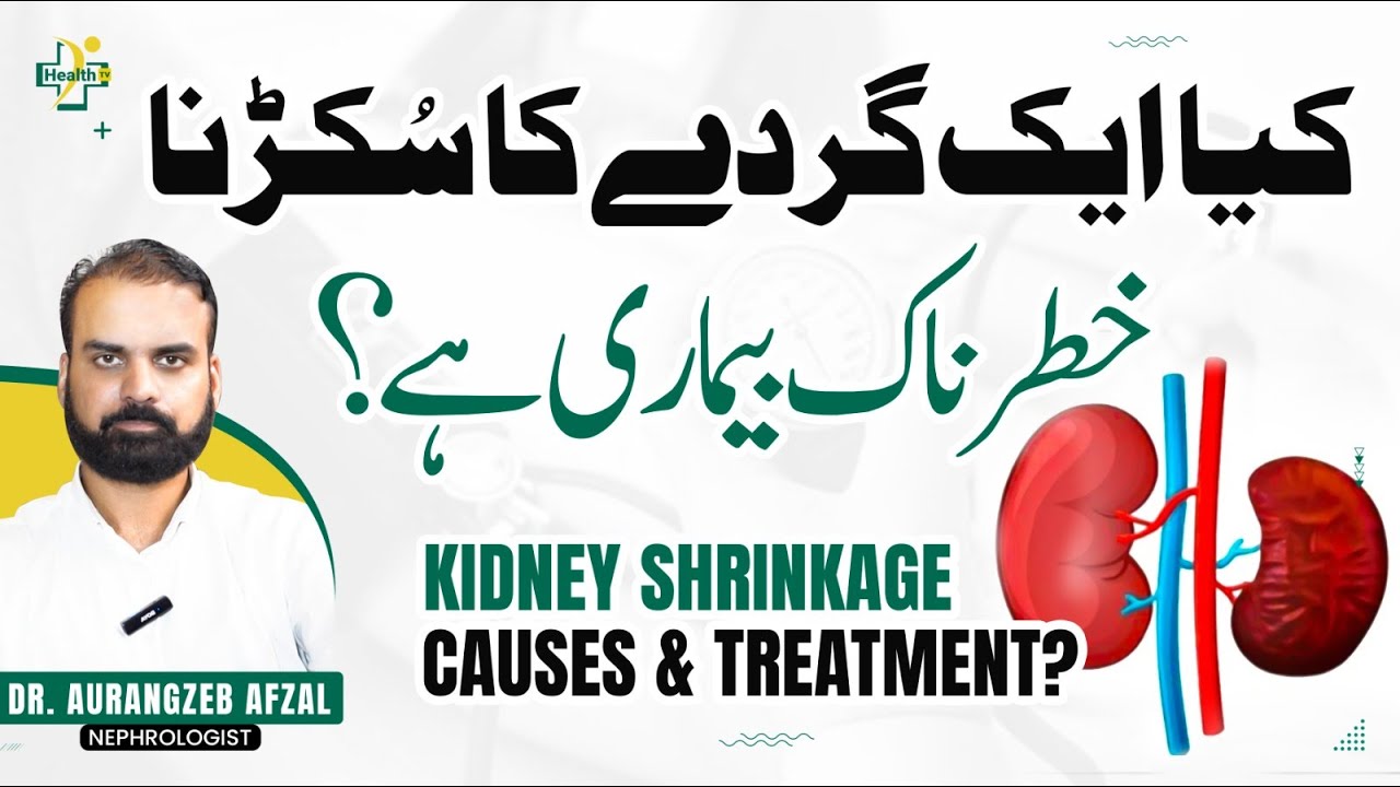 Gurdy Ka Shrink Ho Jana - Wajuhat Aur Ilaj | Shrunken Kidney Reasons | Kidney Related Problems