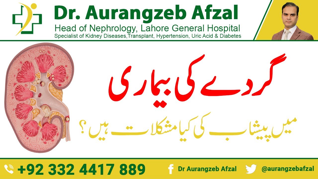 What are the urine problems in kidney disease in Urdu/Hindi