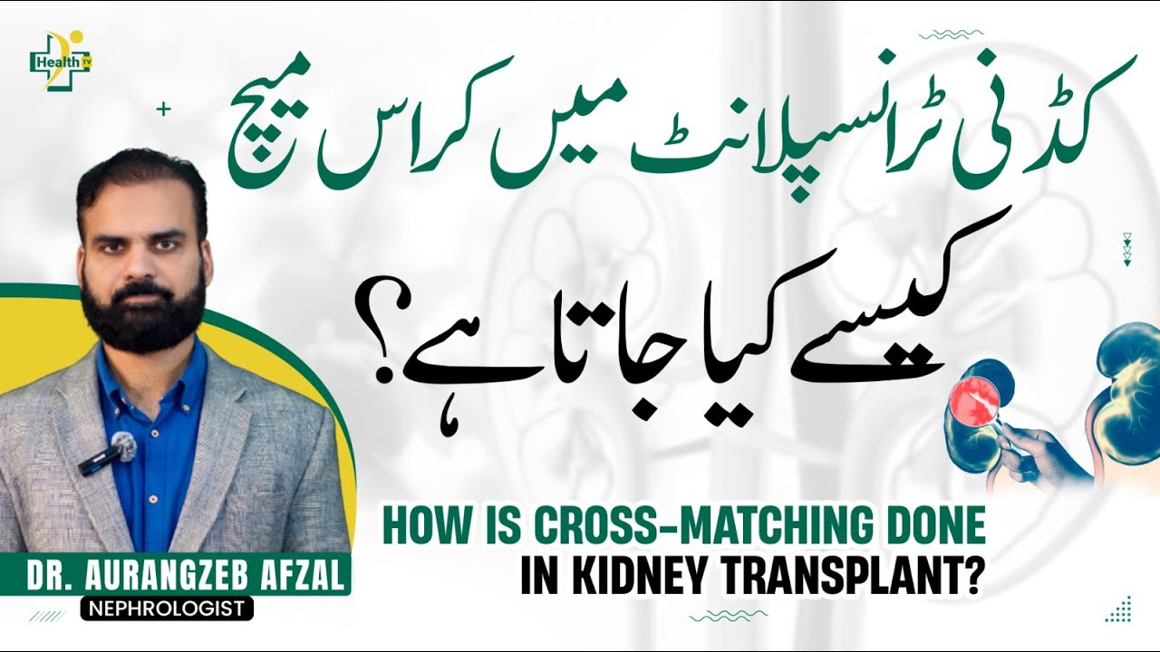 Kidney Transplant & Cross Match Test | Kidney Transplant Kaise Karta Hain | Kidney Failure Treatment
