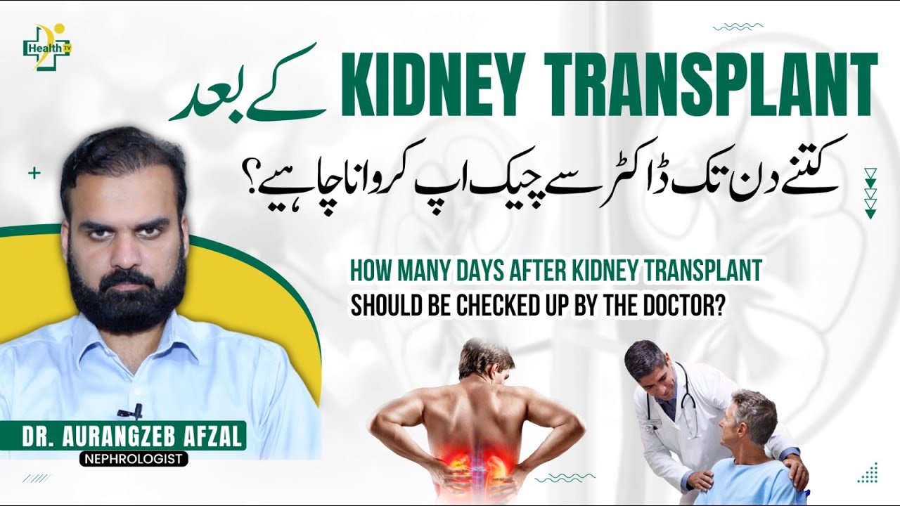 Kidney Transplant Ke Bad Doctor Ko Kab Dikhana Chahiye? | Care After kidney Transplant in Urdu
