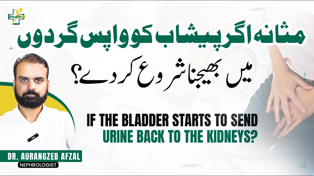 Peshab Ka Wapis Gurdy Ki Taraf Jana | Don't Ignore These Warning symptoms | Kidney Problems in Urdu